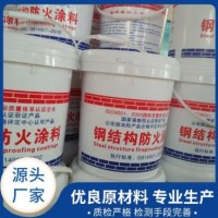 隧道钢结构防火涂料生产厂家 防火防霉阻燃 支持定制